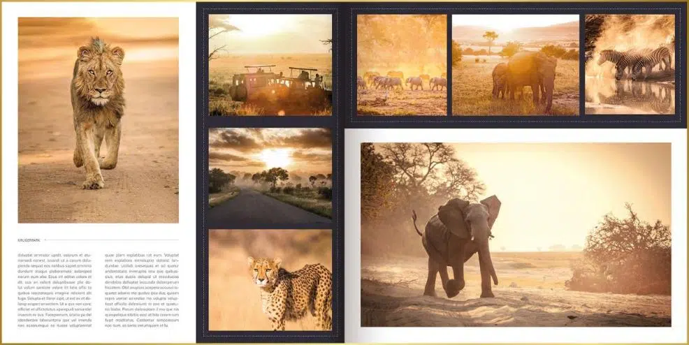 fotoboek in ontwerpstijl Square met foto's van leeuwen, olifanten, zebra's en cheeta met tekst