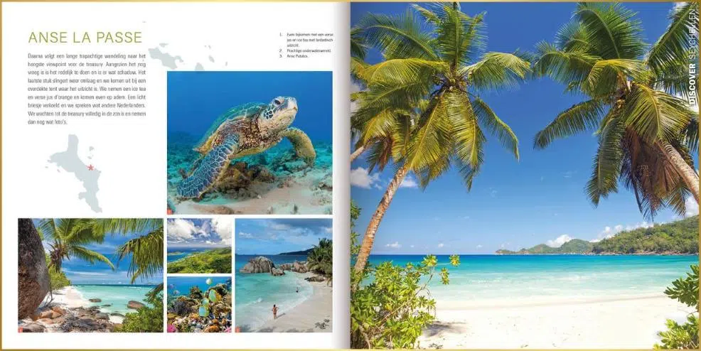 Voorbeeld ontwerpstijl magazine met foto's van zeeschildpad, kleurrijke vissen en wuivende palmbomen bij tropisch strand.
